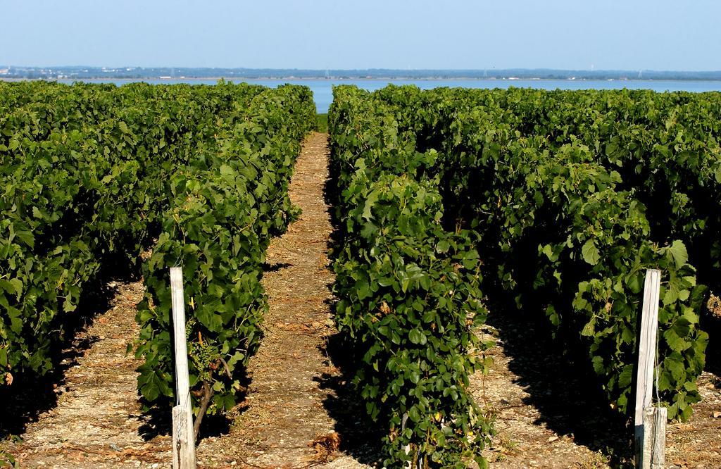 Vvf Soulac-Sur-Mer Bordeaux Medoc المظهر الخارجي الصورة